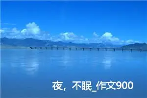 夜，不眠_作文900字_高中优秀作文
