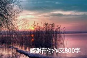 感谢有你作文800字_初三作文