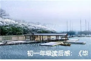 初一年级读后感：《毕淑敏散文》精选读后感言_作文1800字_初中读后感作文