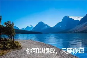 你可以恨我，只要你记得我_作文200字_高中作文范文