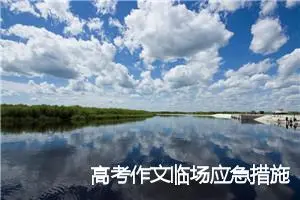 高考作文临场应急措施十五项_作文1650字_高考作文指导