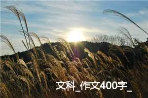 文科_作文400字_高中优秀作文