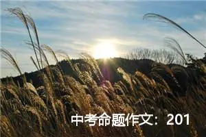 中考命题作文：2019年湖北咸宁中考作文范文_作文2250字_中考命题作文