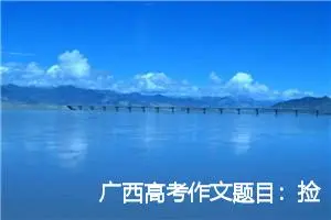 广西高考作文题目：捡到手机之后_作文950字_高考作文