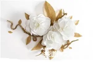 茶道作文450字