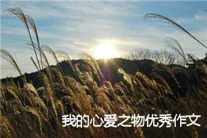 我的心爱之物优秀作文700字