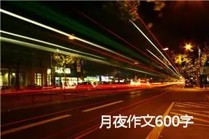 月夜作文600字
