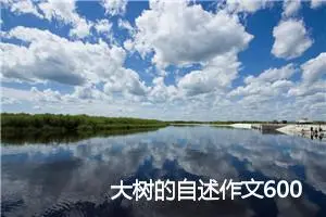 大树的自述作文600字