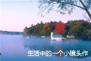 生活中的一个小镜头作文500字