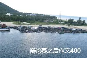 辩论赛之后作文400字