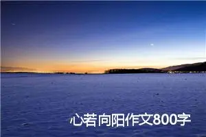心若向阳作文800字_高三作文