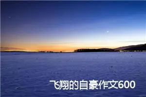 飞翔的自豪作文600字