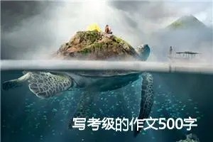 写考级的作文500字