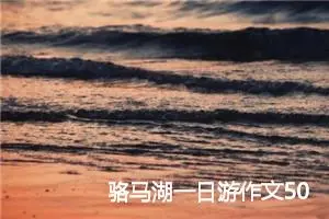 骆马湖一日游作文500字