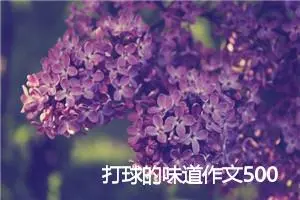打球的味道作文500字