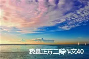 我是正方二辩作文400字