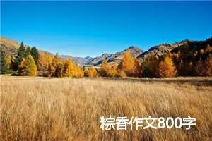 粽香作文800字