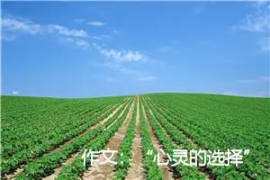 作文：“心灵的选择”——2002年全国高考作文题