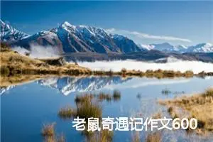 老鼠奇遇记作文600字