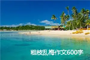 粗枝乱梅作文600字