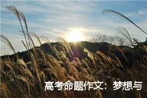 高考命题作文：梦想与现实_作文800字_高考命题作文