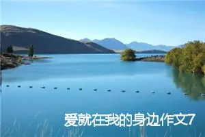 爱就在我的身边作文700字