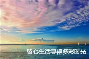 留心生活寻得多彩时光作文800字_高一作文