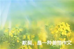 默契，是一种美丽作文900字_高二作文