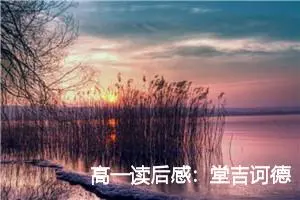 高一读后感：堂吉诃德的读后感_作文1250字_高中读后感