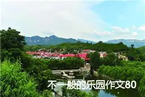 不一般的乐园作文800字