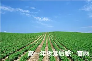 高一年级读后感：雷雨的读后感言_作文1850字_高中读后感