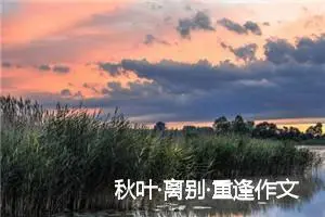 秋叶·离别·重逢作文700字