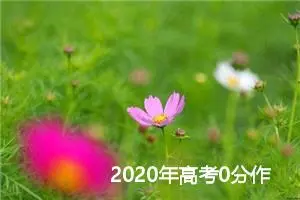 2020年高考0分作文赏析：附庸风雅_高考零分作文