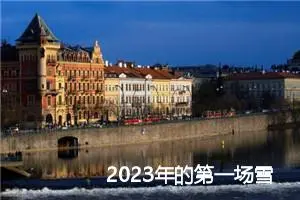2023年的第一场雪作文500字