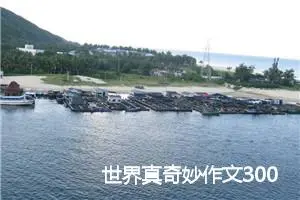 世界真奇妙作文300字