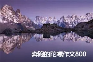 奔跑的陀螺作文800字_高一作文