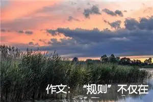 作文：“规则”不仅在考场 规则社会正向人们走来