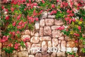 作文：2002年高考作文题 全国卷 北京卷 上海卷