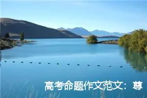 高考命题作文范文：尊重规则以正取胜_作文1100字_高考命题作文