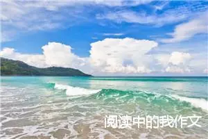 阅读中的我作文