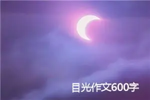 目光作文600字