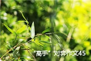 “高手”对弈作文450字