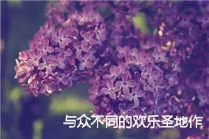 与众不同的欢乐圣地作文1000字