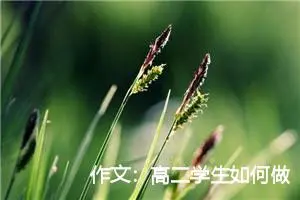 作文：高二学生如何做好作文积淀