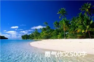 勇气作文500字