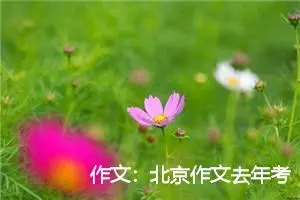 作文：北京作文去年考“诚信”今年考“规则”