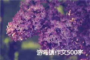 游乌镇作文500字