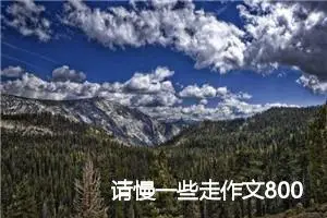 请慢一些走作文800字_高一作文