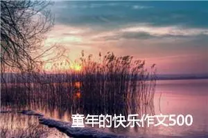 童年的快乐作文500字