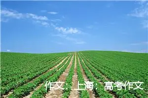 作文：上海：高考作文卷面不洁扣分
